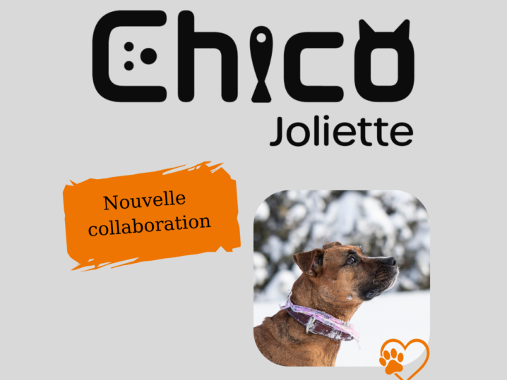 Chico Joliette